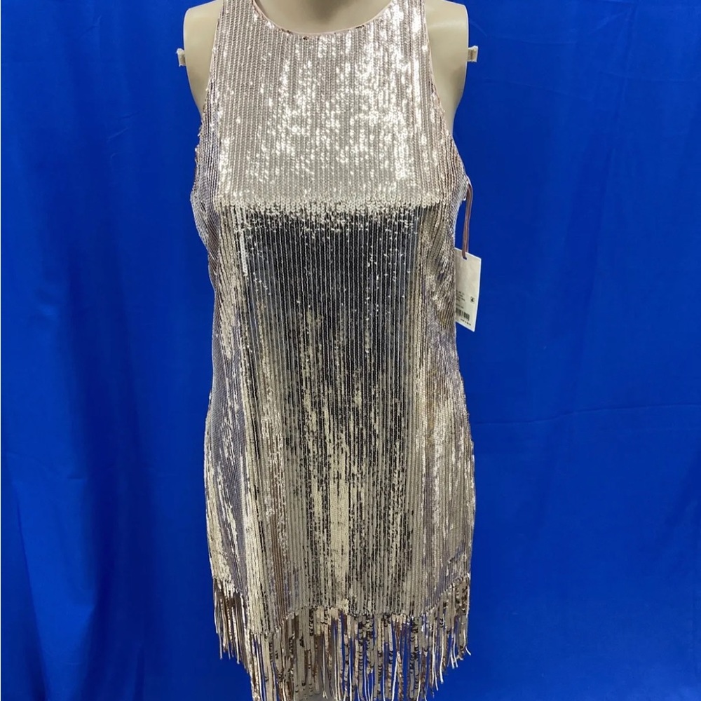 ✨ Taylor Swift Eras Tour Dress ✨
